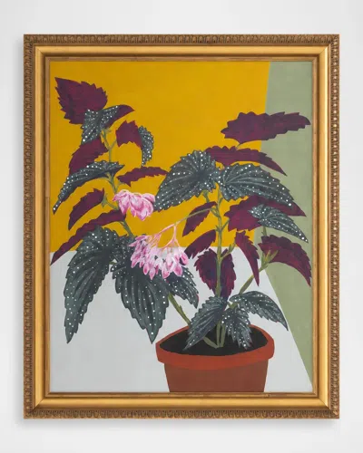 John-richard Collection Polka Dot Begonia Framed Giclee By Michael Pfleghaar In Multi