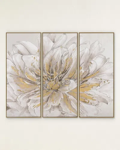 John-richard Collection Pristine Petals Framed Giclees By Thomas Hazlehurst, Set Of 3 In Gold