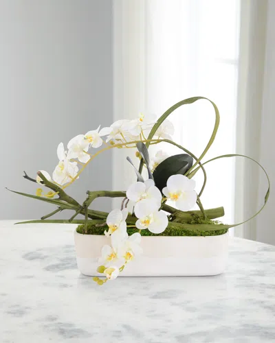 John-richard Collection Real Touch Garden Phalaenopsis 22" Faux Floral Arrangement In Glass Container In Green