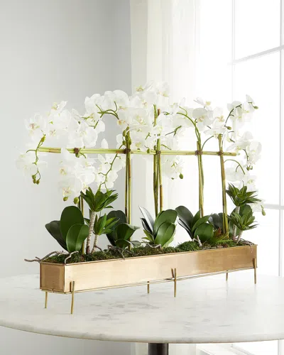John-richard Collection Rows Of Orchids Faux-floral Arrangement In White