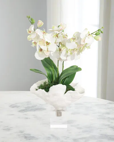 John-richard Collection Seaside 24" Faux Floral Arrangement In Vase In Multi