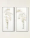 John-richard Collection Study Of Orchids I Wall Art In White