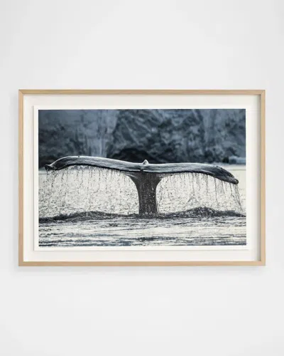 John-richard Collection Whale Of A Tale Framed Photo Print By Rodney Bursiel In Blue