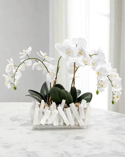 John-richard Collection White Orchids 28" Faux Floral Arrangement In Selenite Vase