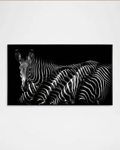 John-richard Dazzle Of Grevys Framed Wall Art By Rodney Bursiel In Black