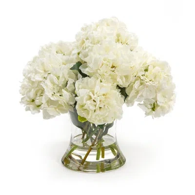 John-richard Flowering In Jar
