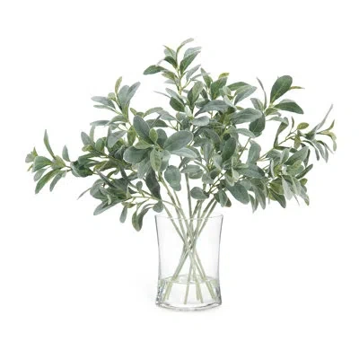 John-richard Lamb's Ear Branch In Jar