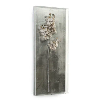 John-richard Silver Orchid I Wall Décor In Silver;cream