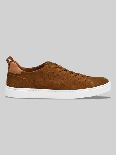 Johnston &amp; Murphy Johnston & Murphy Men's Ollie Lace-to-toe Sneakers In Brown
