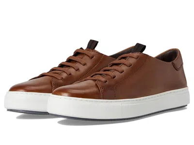 Johnston & Murphy Collection Anson Lace-to-toe In Brown