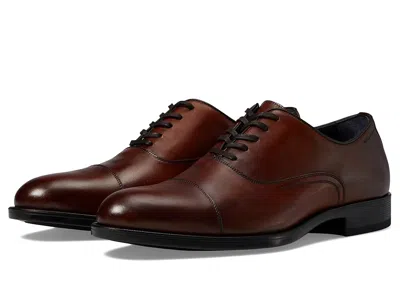 Johnston & Murphy Collection Flynch Cap Toe In Brown