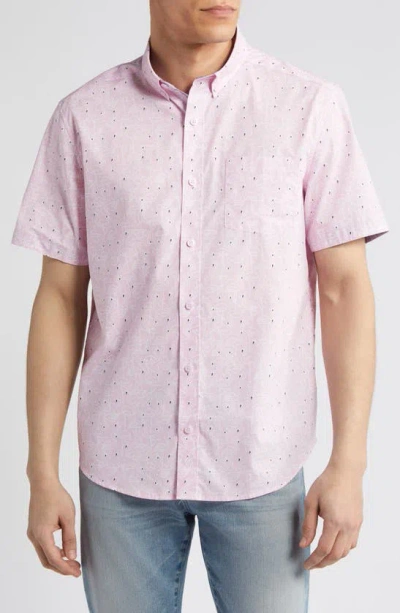 Johnston & Murphy Flamingo Print Short Sleeve Cotton Button-down Shirt In Pink
