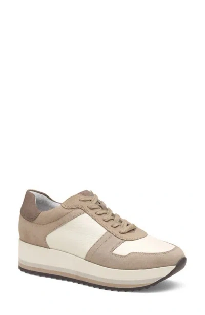 Johnston & Murphy Gracie Colorblock Sneaker In Taupe Suede/ Cotton Calf