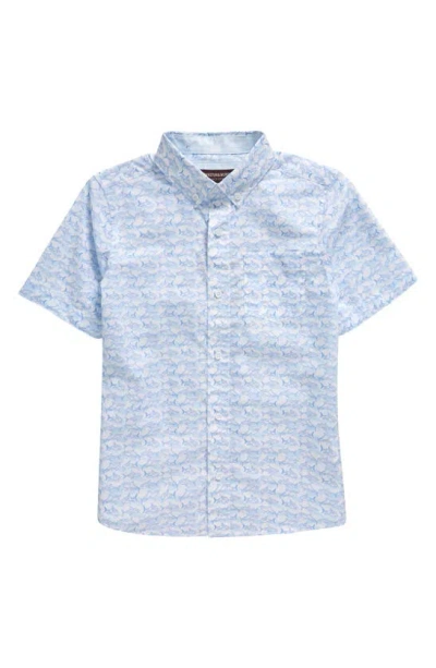 Johnston & Murphy Kids' Shadow Shark Short Sleeve Cotton Button-down Shirt In White/ Blue
