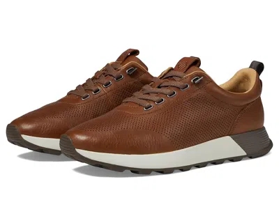 Johnston & Murphy Kinnon Perfed Jogger In Brown
