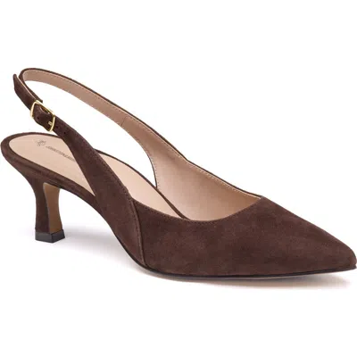 Johnston & Murphy Lindsey Slingback Pointed Toe Kitten Heel Pump In Brown