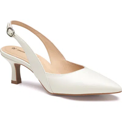 Johnston & Murphy Lindsey Slingback Pointed Toe Kitten Heel Pump In White