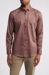 Johnston & Murphy Linked Ovals Print Button-up Shirt In Rust/ Navy