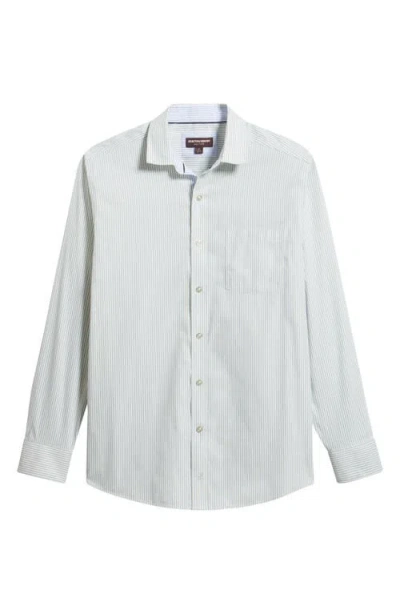 Johnston & Murphy Ovation Stripe Non-iron Stretch Cotton Button-up Shirt In Green