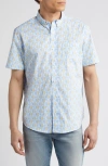 Johnston & Murphy Pineapple Print Short Sleeve Cotton Button-down Shirt In White