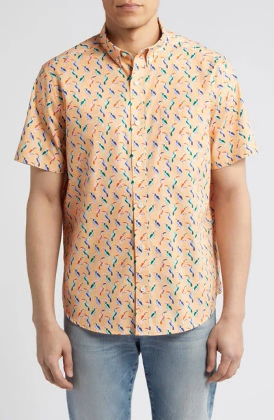 Johnston & Murphy Toucan Print Short Sleeve Cotton Button-down Shirt In Melon