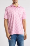 Johnston & Murphy Xc4® + Cool Degree™ Performance Golf Polo In Flamingo/pink