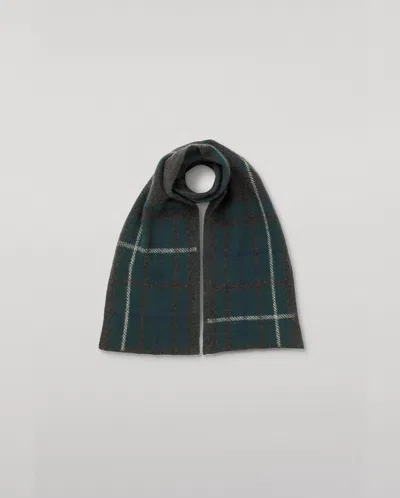 Johnstons Of Elgin Baird Charcoal Brushed Cashmere-silk Scarf In Green