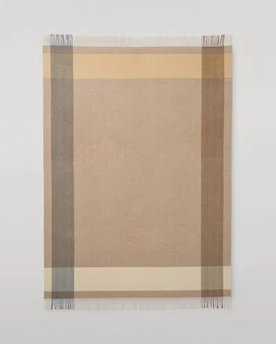Johnstons Of Elgin Block Border Natural Wool Throw In Brown