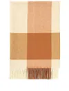 Johnstons Of Elgin Block-border Wool Throw In Ru7452 - Warm