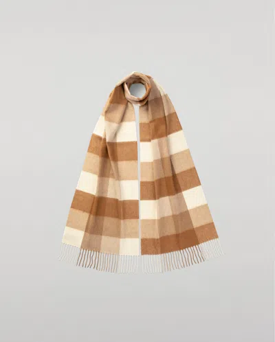 Johnstons Of Elgin Block Check Cashmere & Vicuña Scarf In Brown