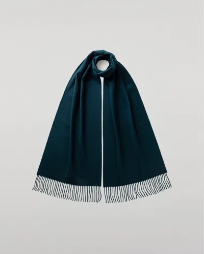 Johnstons Of Elgin Bottle Green Wide Cashmere Scarf In Purple