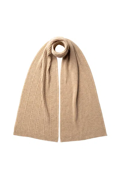 Johnstons Of Elgin Cable & Rib Natural Cashmere Scarf In Brown
