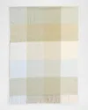 Johnstons Of Elgin Cashmere Check-print Scarf In Lichen