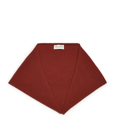 Johnstons Of Elgin Cashmere Gauzy Triangle Neck Tie