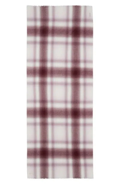 Johnstons Of Elgin Cashmere Scarf In Purple