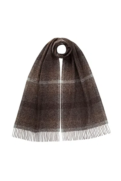 Johnstons Of Elgin Cashmere Silk Blurred Check Dark Brown Scarf