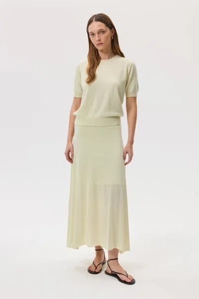 Johnstons Of Elgin Cashmere Silk Light Yellow A-line Skirt In Animal Print