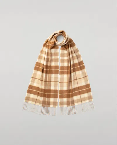Johnstons Of Elgin Check Cashmere & Vicuña Scarf In Brown