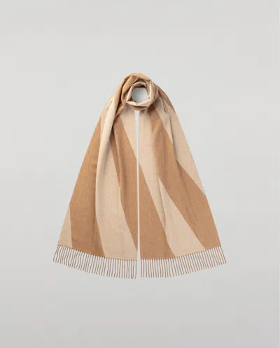 Johnstons Of Elgin Chevron Cashmere Vicuña Scarf In Brown