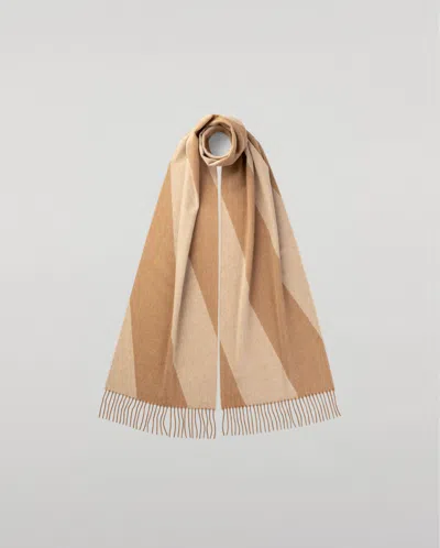 Johnstons Of Elgin Chevron Cashmere Vicuña Skinny Scarf In Brown