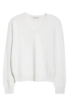 Johnstons Of Elgin Classic Cashmere V-neck Sweater In Zinc White