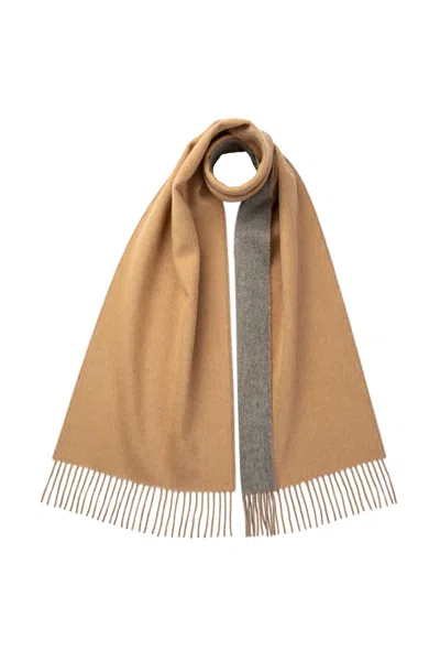 Johnstons Of Elgin Contrast Reversible Camel Cashmere Scarf In Brown