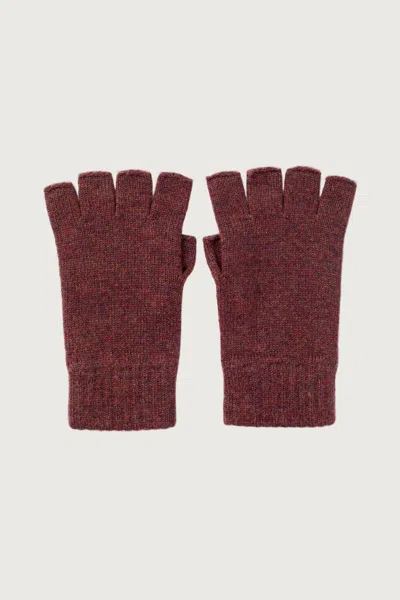 Johnstons Of Elgin Fingerless Purple Cashmere Gloves In Brown