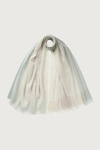 Johnstons Of Elgin Gingham Border Lightweight Scarf In Multi