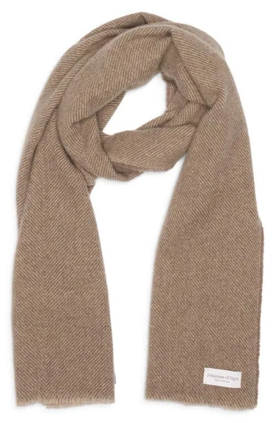 Johnstons Of Elgin Mountain Cashmere Twill Scarf In Brown