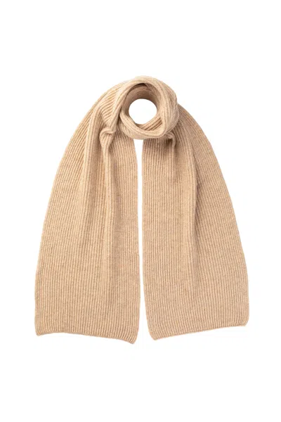 Johnstons Of Elgin Natural Cashmere Ribbed Scarf In Brown