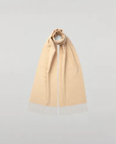 Johnstons Of Elgin Natural Cashmere Scarf In Brown