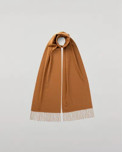 Johnstons Of Elgin Pure Vicuña Skinny Scarf In Brown