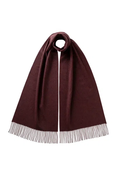 Johnstons Of Elgin Purple Wide Cashmere Scarf In Red