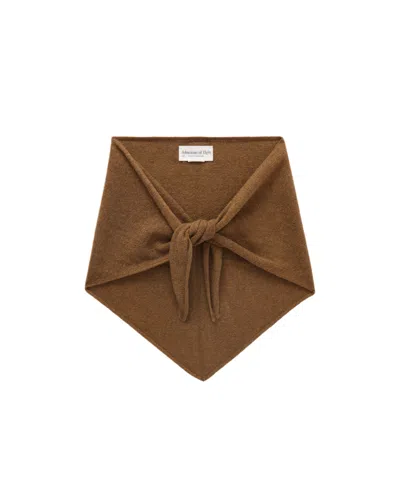 Johnstons Of Elgin Reel Cashmere Scarf In Brown